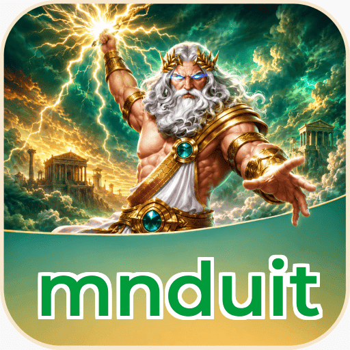 Executive Summary - mnduit Testing Results